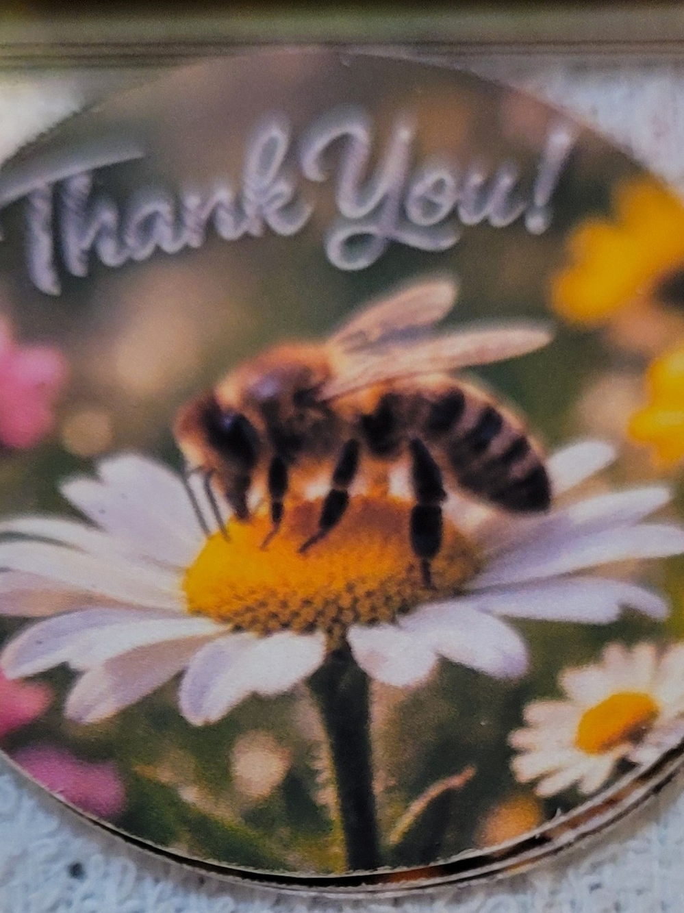 Bee Themed Stationery Set. Notebook 24 Thank You Cards, Stickers, 10 Polys & PEN - Picture 3 of 4